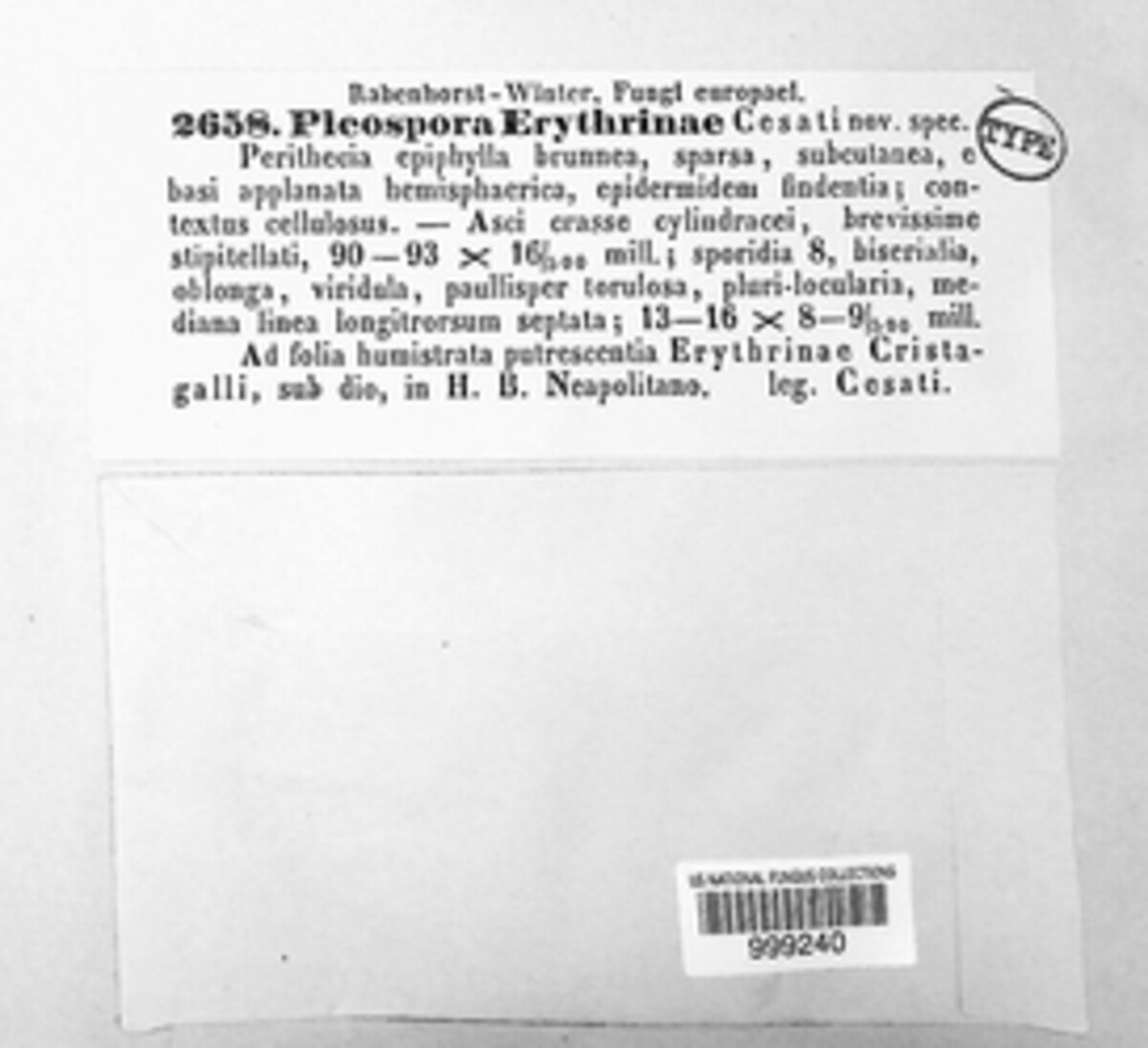 Pleospora erythrinae image